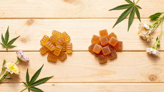 CBD Isolate and Full Spectrum CBD Gummies Explained Simply
