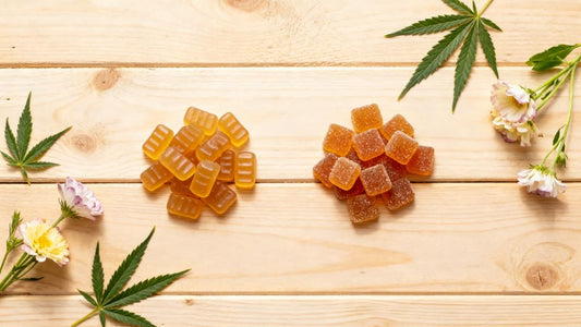 CBD Isolate and Full-Spectrum Gummies Explained Simply