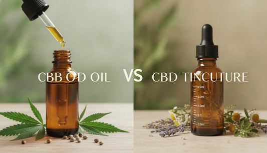 CBD Oil vs CBD Tincture: The Ultimate Detailed Guide