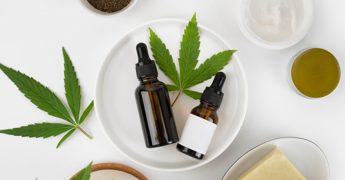 CBD Tinctures vs. CBD Gummies: What’s Best for You?