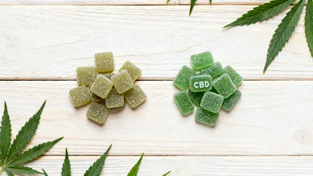 Hemp Gummies vs CBD Gummies: Which One Really Works?